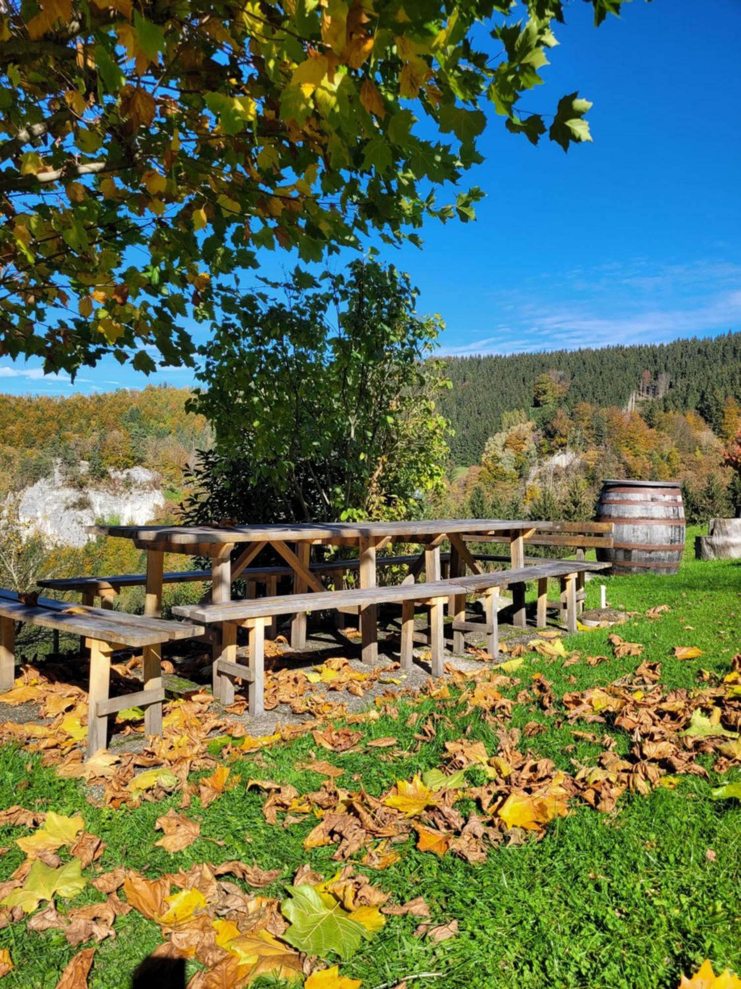 Kraeuterhof Miesrigl Villa Losenstein Eksteriør billede