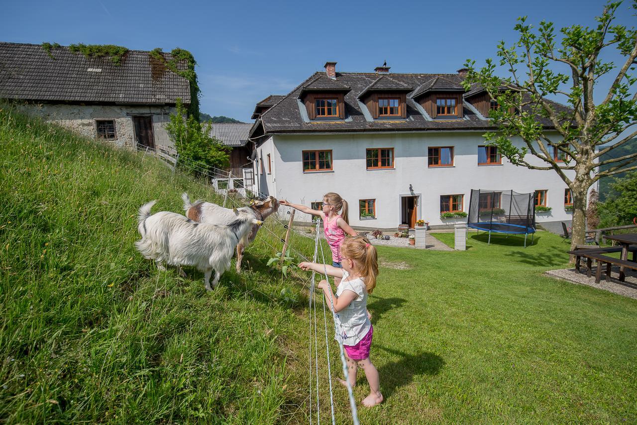 Kraeuterhof Miesrigl Villa Losenstein Eksteriør billede